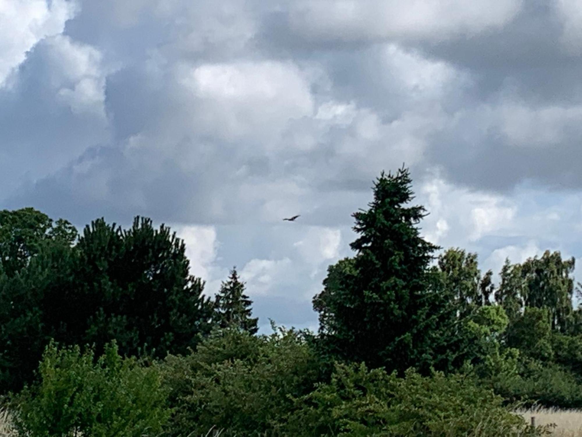 Kirke Såby Vikingbnb מראה חיצוני תמונה